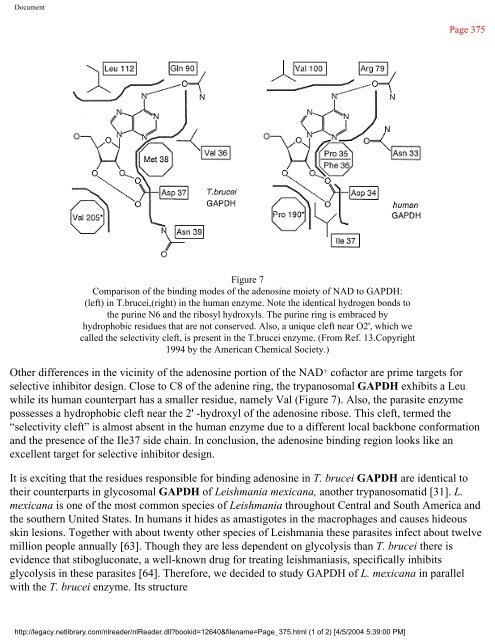 netLibrary - eBook Summary Structure-based Drug Design by ...