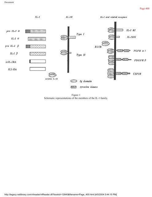 netLibrary - eBook Summary Structure-based Drug Design by ...