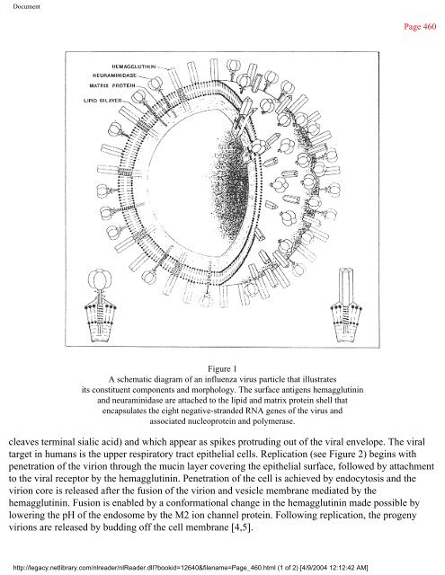 netLibrary - eBook Summary Structure-based Drug Design by ...