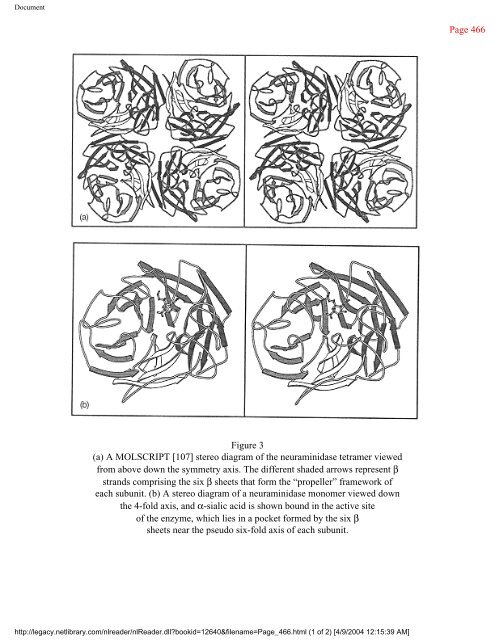 netLibrary - eBook Summary Structure-based Drug Design by ...