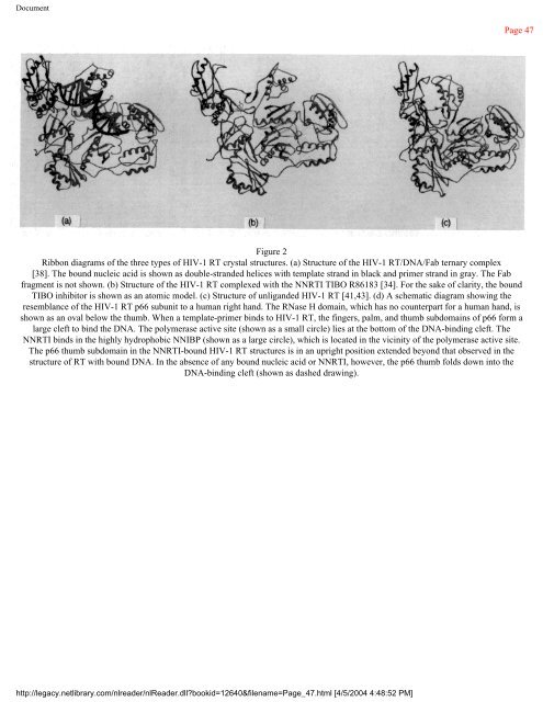 netLibrary - eBook Summary Structure-based Drug Design by ...