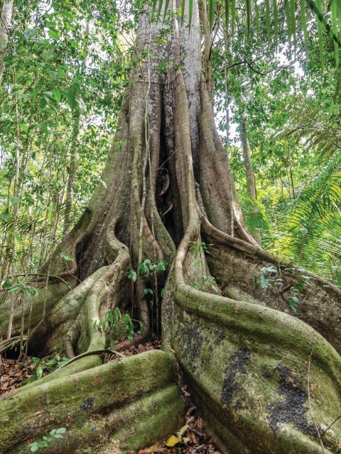 RESERVA NATURAL VALE