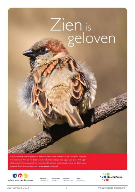 www.vogelwachtbolsward.nl