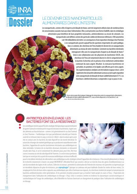 MICROBIOTE LA RÉVOLUTION INTESTINALE