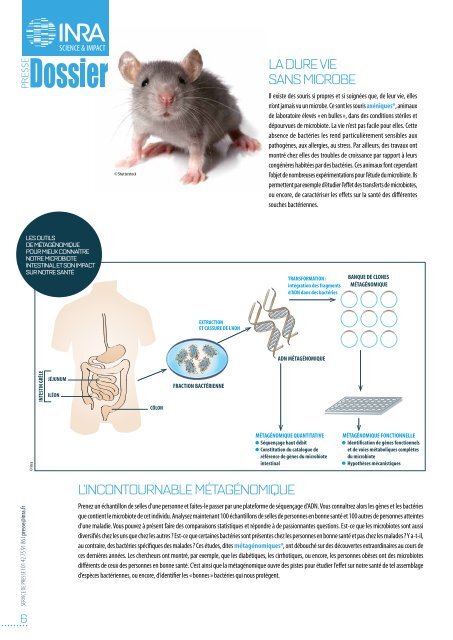 MICROBIOTE LA RÉVOLUTION INTESTINALE