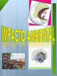 Impacto ambiental