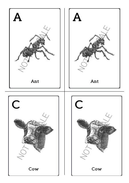 Animal 4D+ Cards Animal 4D+ Cards