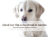 List of 2017 Top 10 Dog Breeds in America