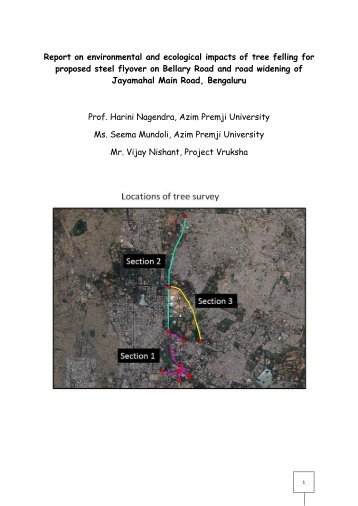 Report-steel-flyover-and-road-widening