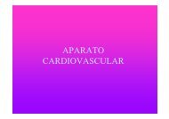 C4 APARATO  CARDIOVASCULAR