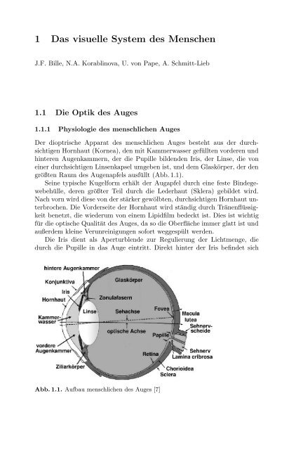 Medizinische Physik 3: Medizinische Laserphysik [2004]