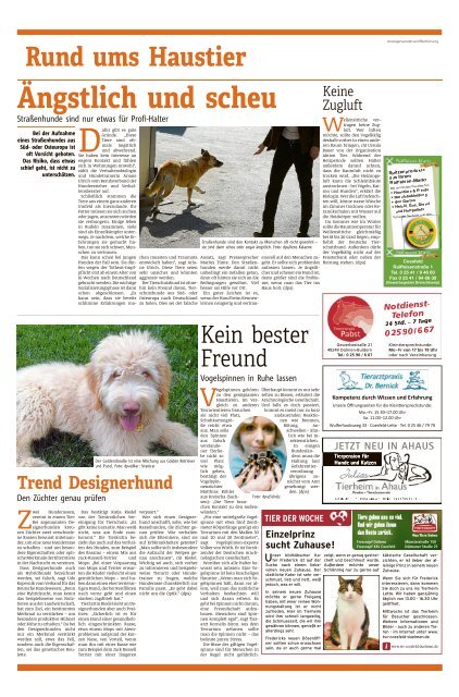 StadtAnzeiger Dülmen KW 6