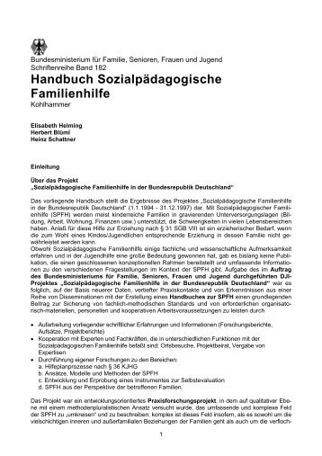 Handbuch Sozialpädagogische Familienhilfe - Gender Mainstreaming