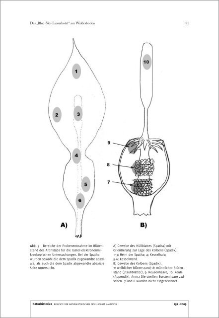 Naturhistorica 151