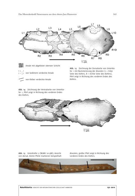 Naturhistorica 152