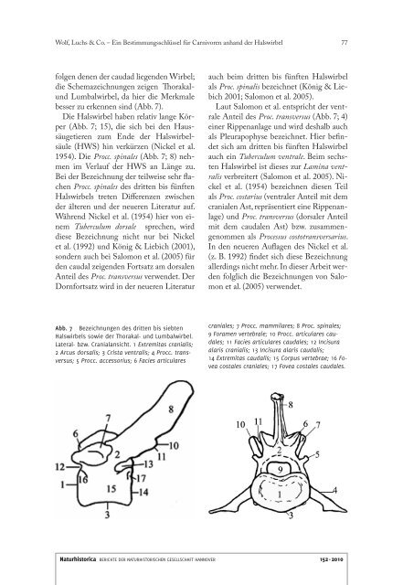 Naturhistorica 152