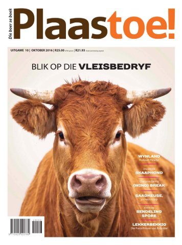Plaastoe_Oktober-2016