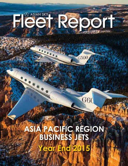 ASG Business Jet Fleet Report 2015 EN