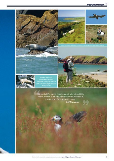 Visit Pembrokeshire 2017