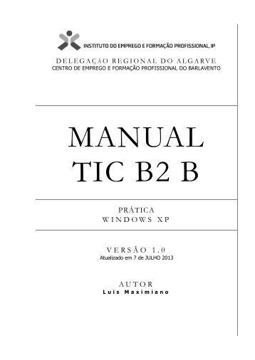 Manual TIC B2 B - WINDOWS XP