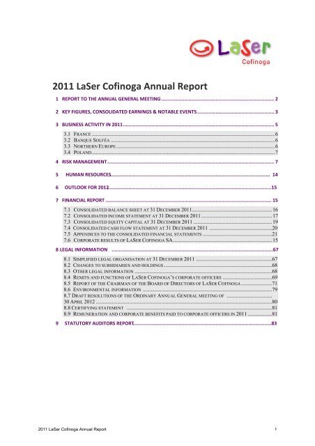 2011 LaSer Cofinoga Annual Report