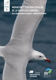 MIGRACIÓN Y ECOLOGÍA ESPACIAL DE LA GAVIOTA DE AUDOUIN