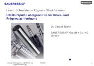 Jenke-Ultrakurzpuls-Lasergravur in der Druck