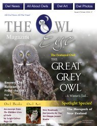 Owl Eye Issue 6 Winter