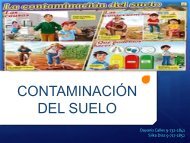 CONTAMINACIÓN DEL SUELO 