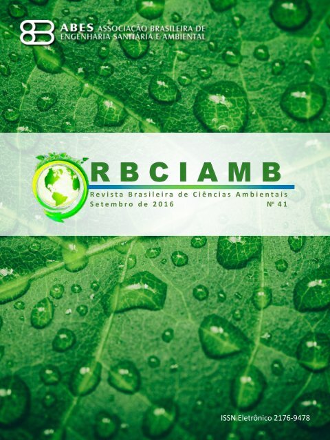 EDIÇÃO 41 RBCIAMB
