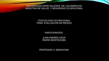 Evaluacion del Riesgo Grupo Ingrid Montezuma Juan Andres Vega