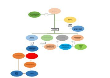 Mapa Conceptual