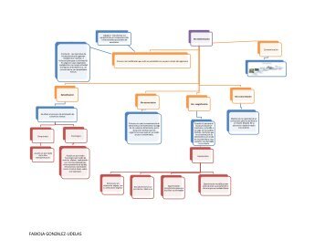 Mapa conceptual biotrasformacion FABI