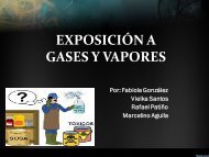 PROYECTO FINAL GASES