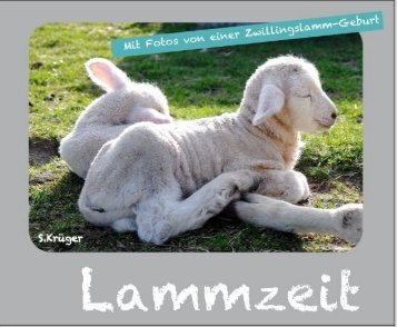 Lammzeit