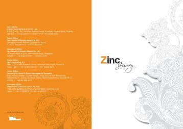 Zinc Journey Brochure