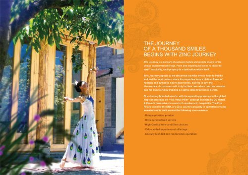 Zinc Journey Brochure