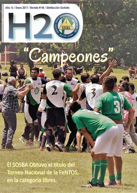 H2O enero 2017