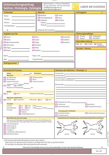 Untersuchungsantrag Sektion, Histologie, Zytologie - Labor am ...