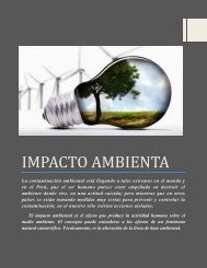 IMPACTO AMBIENTA GVAA