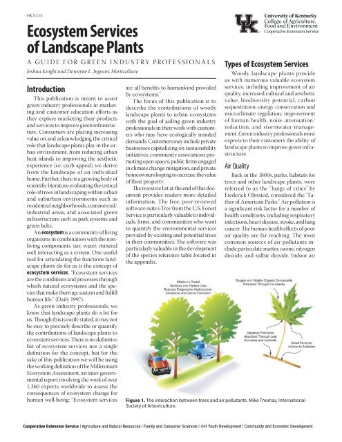 Ecosystem Services of Landscape Plants