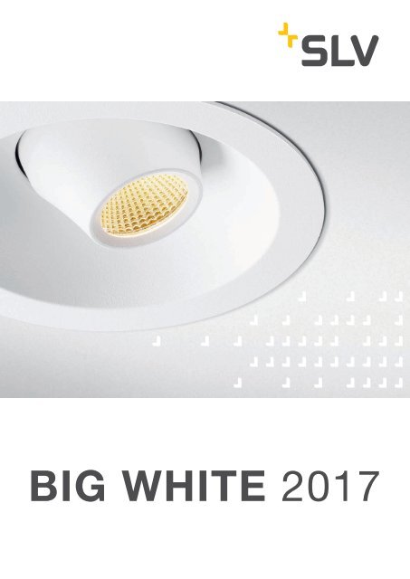 SLV BIG WHITE 2017
