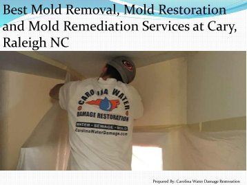 Best Mold Removal, Mold Restoration and Mold Remediation Services at Cary, Raleigh NC