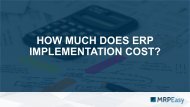 How Much Does ERP Implementation Cost