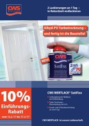 Aktionsflyer_CWS_Satifixx_Peters Farben