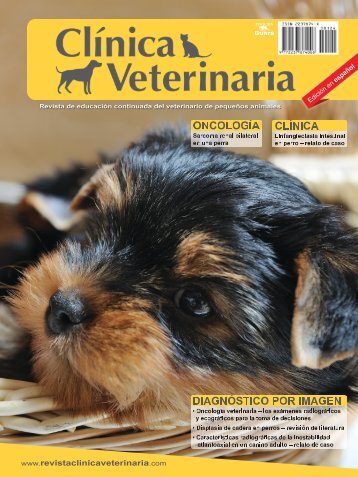 Clínica Veterinaria n. 124