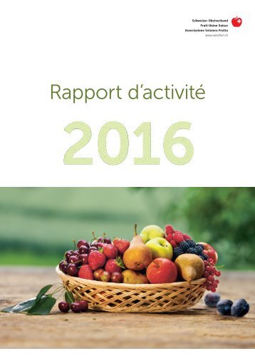 Rapport d'activité 2016 