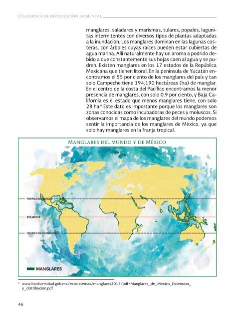 Costas y mares de México