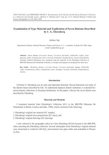 Natl. Mus. Nat. Sci. Japan Monographs 40: 13-21 (2009)