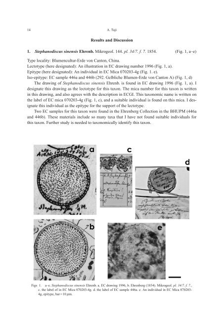 Natl. Mus. Nat. Sci. Japan Monographs 40: 13-21 (2009)